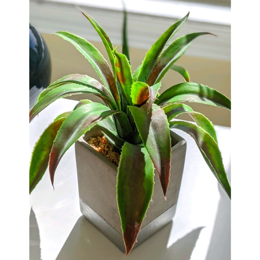 Natural fake succulent plant silver artificial